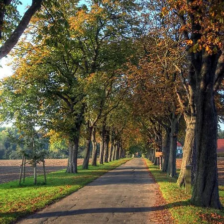 Apartamento Schlosspark Hollwinkel *